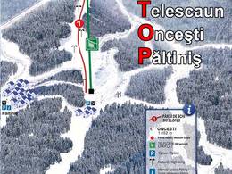 Skigebiet Păltiniș