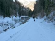 Ziehwege am Ende der Skiroute nach Vandans