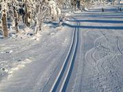 Loipe auf den Fichtelberg