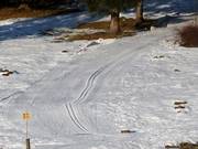 Die Loipe startet direkt neben der Skipiste
