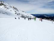 Übungshang Baby 1 (Kellaria 1950)