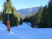 Schwarze Skiabfahrt nach Bischofswiesen (Keine Verbindung zu Lift)