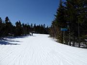 Vom Barker Mountain startet eine knapp 5 km (3 Meilen) lange leichte Piste
