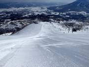 Schwere Piste Dynamic (Grand Hirafu)
