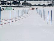 Übungslift Eichenhof II - Seillift/Babylift mit niederer Seilführung