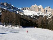 Leichte Piste Ciampedie - Pian Pecei