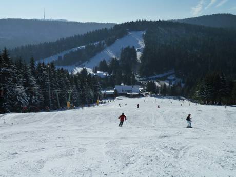 Pistenangebot Bühl-Bühlertal – Pistenangebot Hundseck – Bühlertallifte