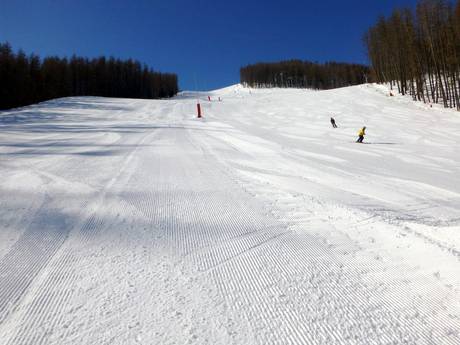 Pistenangebot Alpes-Maritimes – Pistenangebot Auron (Saint-Etienne-de-Tinée)