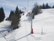 Verdette - Tellerlift