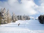 Die Varianten im obersten Bereich, links gleichmäßig geneigt, rechts zunächst etwas steiler
