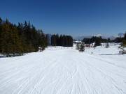 Piste am Rimmler-Moos