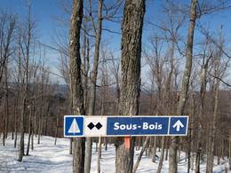 Sommet Saint-Sauveur