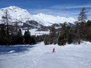 Talabfahrt nach Surlej