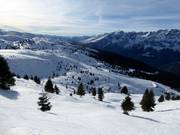 Freeridegelände am Passo S. Antonio