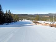 Leichte Piste Tusseparken