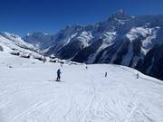 Anfängerpiste Waldära