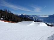 Sunsitepark Zettersfeld