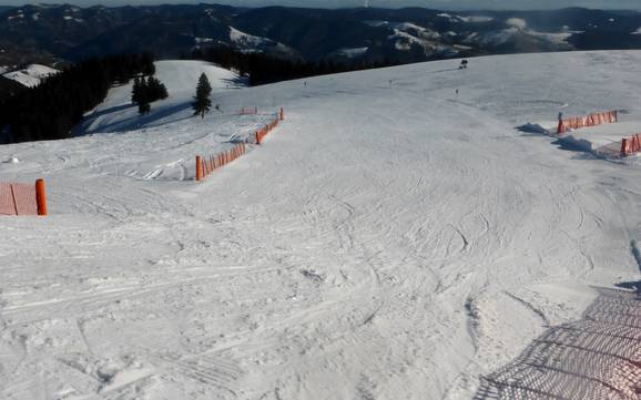 Skigebiete für Anfänger in der Schwarzwaldregion Belchen – Anfänger Belchen