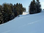 2. Abfahrt am Hempelsberglift