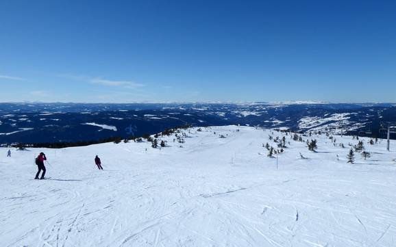 Bestes Skigebiet in Lillehammer – Testbericht Hafjell
