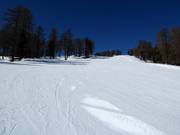 Watles Abfahrt im unteren Bereich (Talabfahrt)