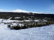 Nordseite mit Blick zum 1131 m hohen Städjan