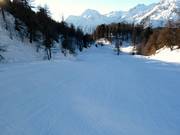 Mittelschwere Abfahrt am Piz Aela