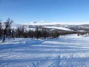 Piste Nr. 12 Ekorrpasset