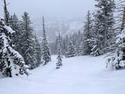 Tiefschnee an der Sesselbahn Milly Express