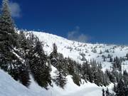 Blick auf die Falcon Glades