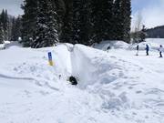 Solitude Magic Carpet - Förderband