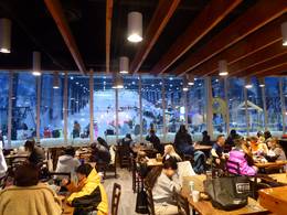 Snowplanet – Silverdale