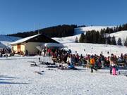 Wood Truck auf der Postalm