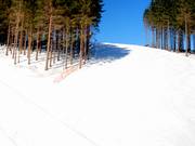 Gut in Schuss: Die Pisten am Sürenberg