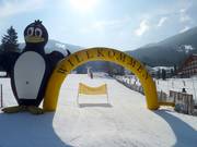 Tipp für die Kleinen  - BOBO Kinder-Club Bach der Skischule Krainer