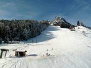 Schwarze Piste Postalm Standard