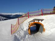 Tipp für die Kleinen  - Funline Pec pod Sněžkou