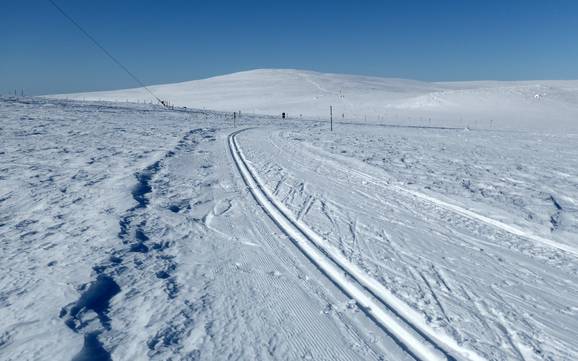 Langlauf Schwedisch Lappland – Langlauf Dundret Lapland – Gällivare
