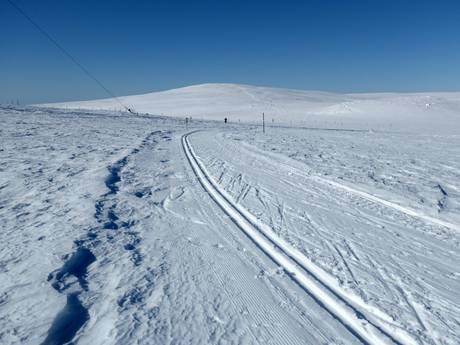 Langlauf Schweden – Langlauf Dundret Lapland – Gällivare