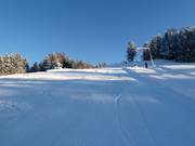 Der obere Teil der Piste