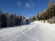 Lella-Abfahrt zur Talstation Mönichkirchen