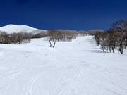 Mittelschwere Piste S "JI" (Annupuri)