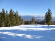 Piste Fiorentini Nr. 30