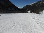 Leichte, breite Schneeflucht-Abfahrt