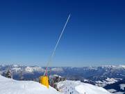 Schneilanze beim Schatzberg