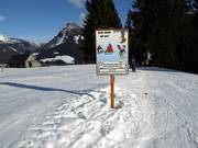 Pistenregelweg am Grafenwiesenlift