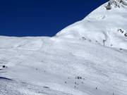 Breite Piste Nr. 44 Milez