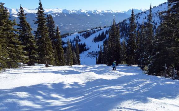 Skigebiete für Könner und Freeriding Jasper-Nationalpark – Könner, Freerider Marmot Basin – Jasper