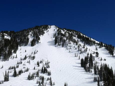 Skigebiete für Könner und Freeriding Western United States – Könner, Freerider Alta