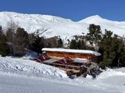 Berghütten Tipp Einkehrschwung Schöneben